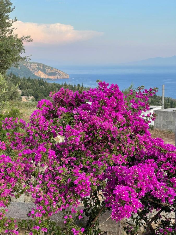 Solomon&Sons Hotel Dhermi Exterior photo